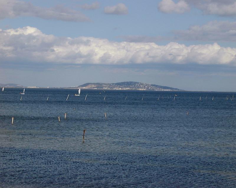 etang de thau 2
